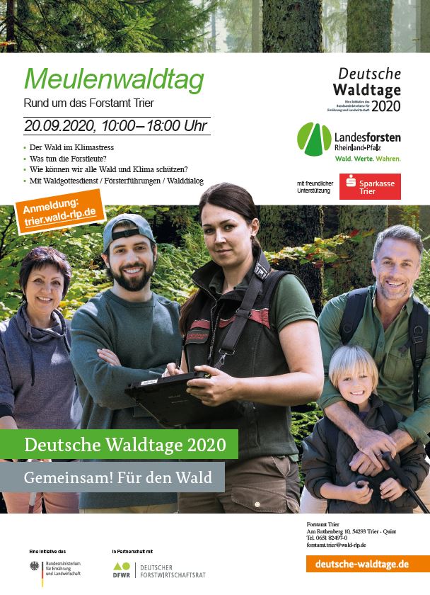 Plakat Meulenwaldtag 2020