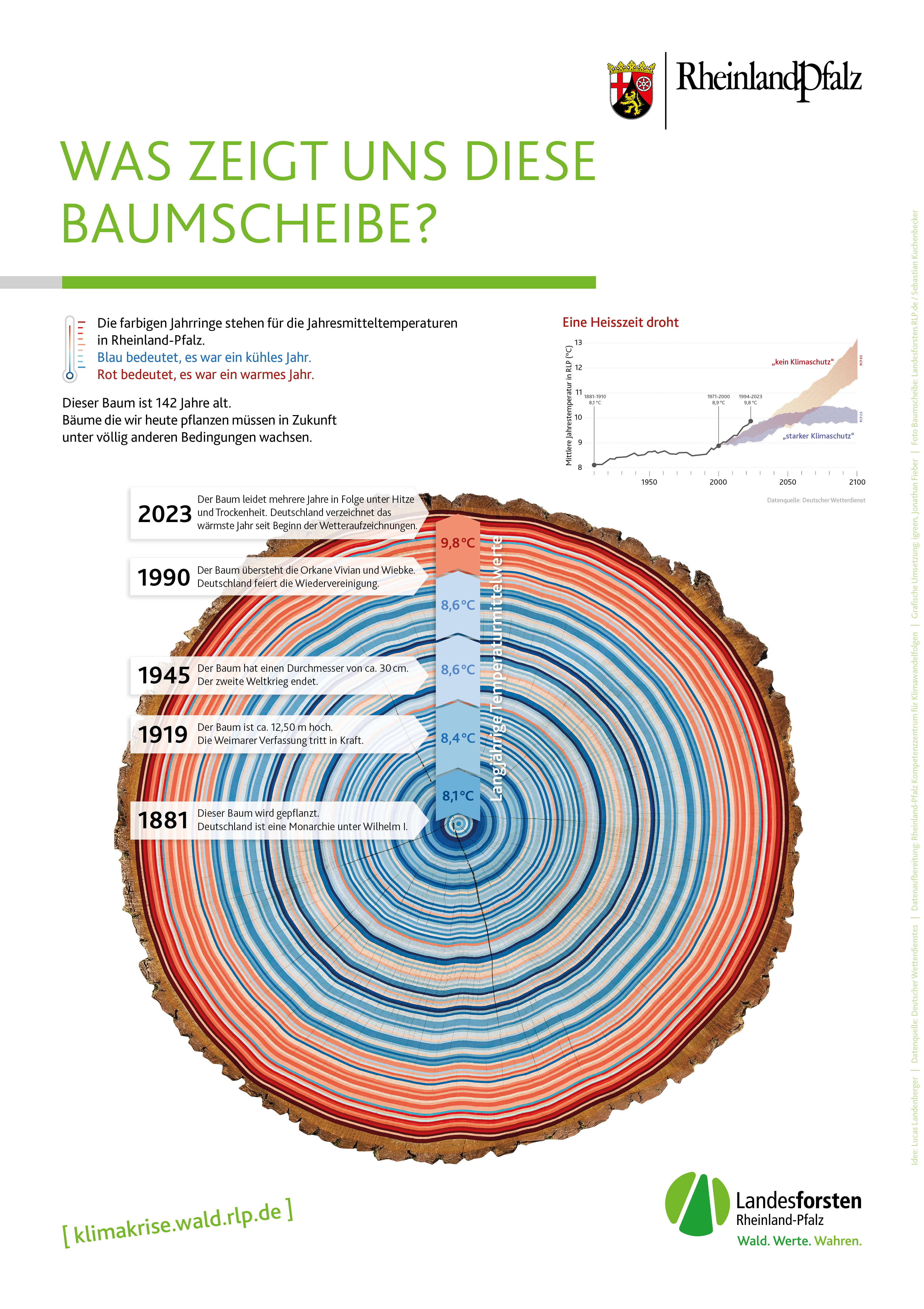Diese Baumscheibe zeigt den Klimawandel